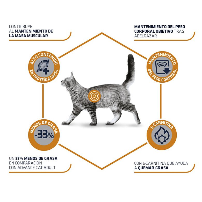 Affinity Advance Veterinary Diet Feline Weight Balance image number null